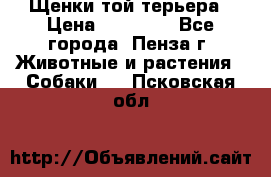 Щенки той терьера › Цена ­ 10 000 - Все города, Пенза г. Животные и растения » Собаки   . Псковская обл.